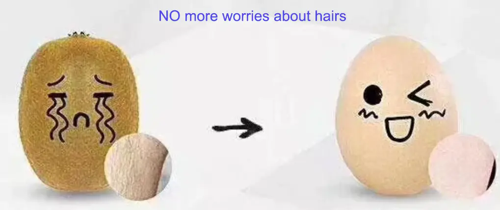 Intense Pulse Light Hair Removal